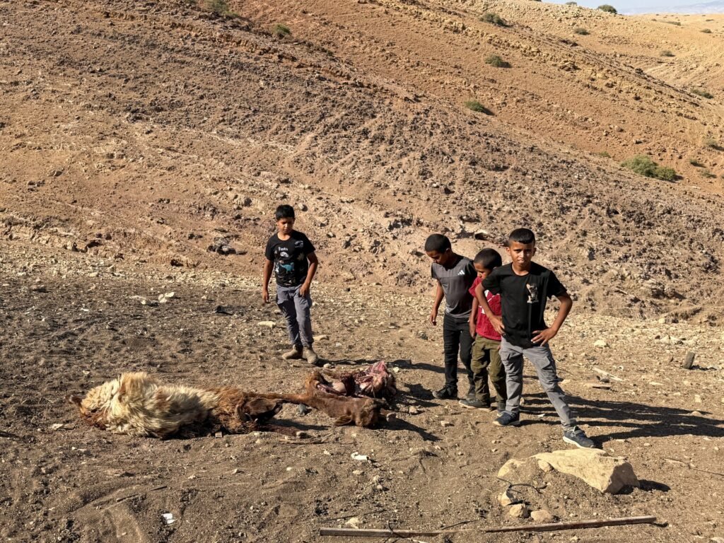 Palestinian child shot dead in West Bank by Israeli forces amid land grabs
