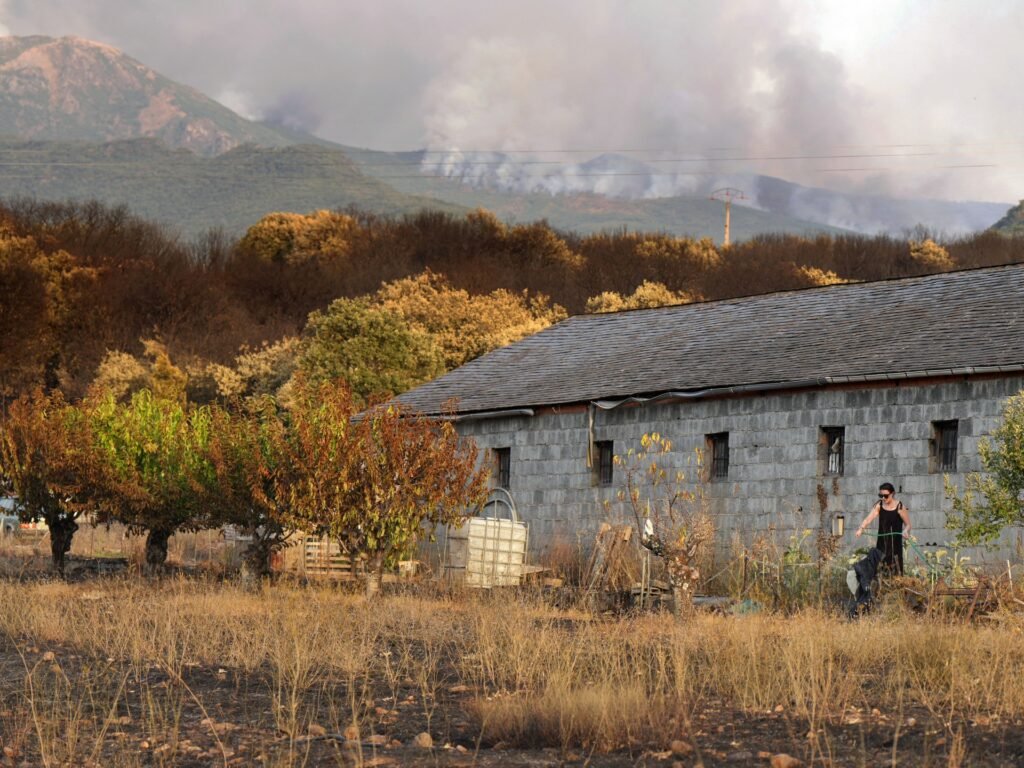 Wildfires in Spain kill one person as thousands forced to flee