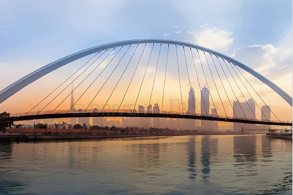 UAE insurers absorb shock, emerge stronger after record floods UAE insurers absorb shock, emerge stronger after record floods