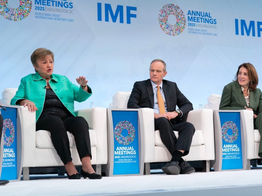 Which countries owe the IMF the most money in 2025?