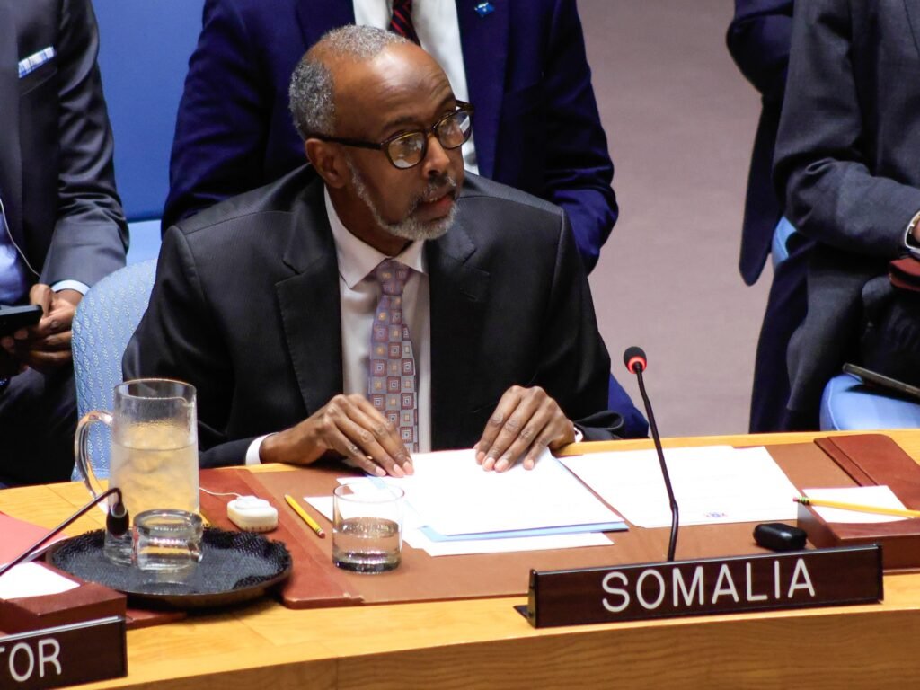 UN Security Council members condemn Israel’s recognition of Somaliland