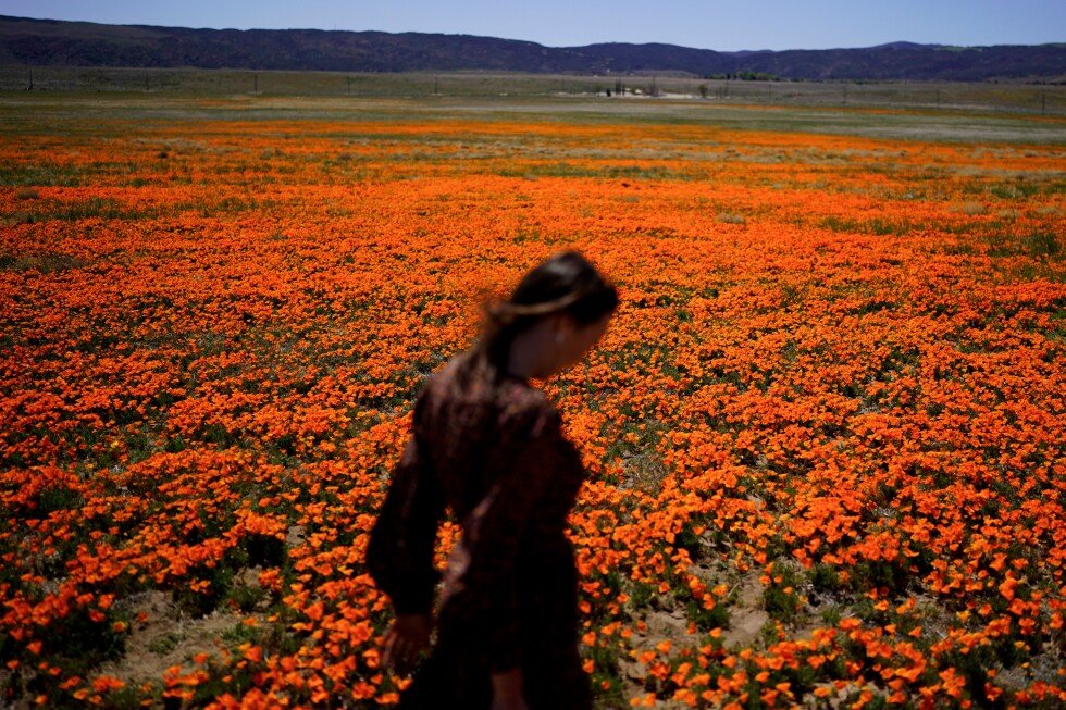 Welcome to allergy season. Here’s how to protect yourself Welcome to allergy season. Here's how to protect yourself