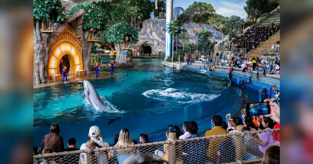 Abu Dhabi tourism surges to record high as Indian visitor numbers jump Abu Dhabi tourism surges to record high as Indian visitor numbers jump