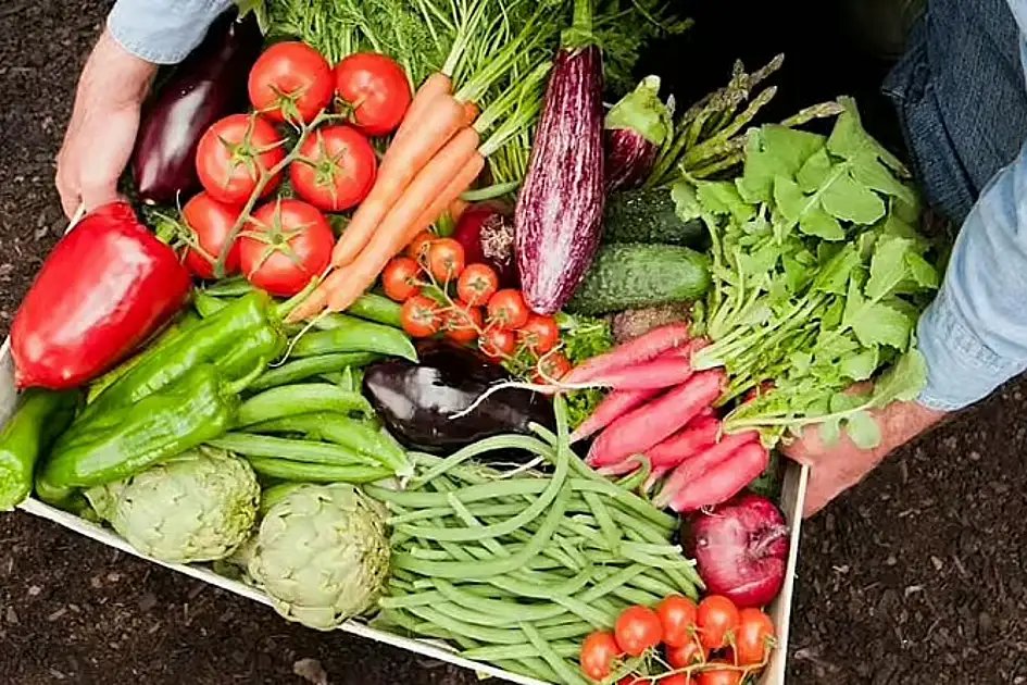 Shipping, energy disruptions spike food prices; UAE stays insulated Shipping, energy disruptions spike food prices; UAE stays insulated