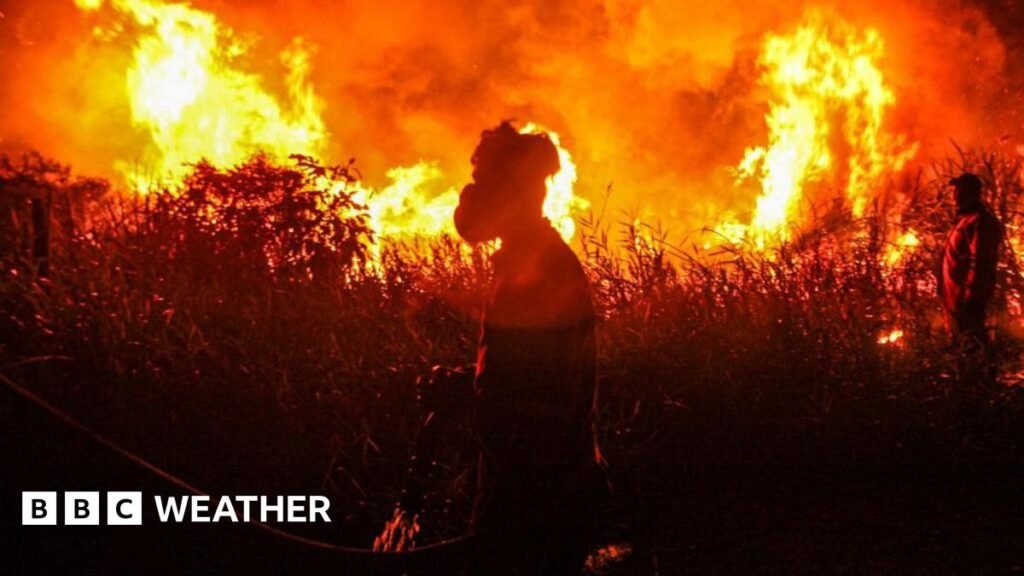 Warning of record global temperatures as chance of very strong El Niño growsAs El Niño develops this year, scientists are increasingly confident it could be one of the strongest on record with global consequences, as Simon King explains.1 hr ago Warning of record global temperatures as chance of very strong El Niño growsAs El Niño develops this year, scientists are increasingly confident it could be one of the strongest on record with global consequences, as Simon King explains.1 hr ago