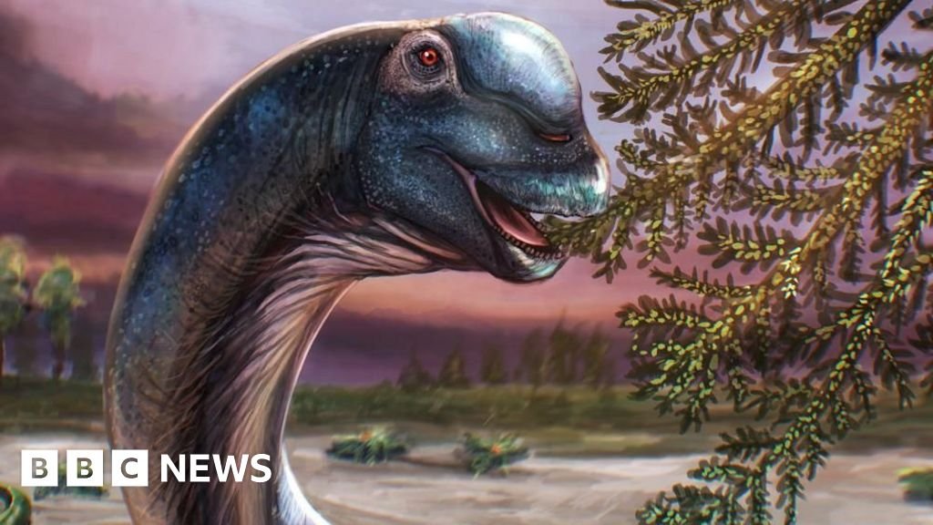 Giant new dinosaur identified from fossils in ThailandThe nagatitan is the largest dinosaur found in South-East Asia and weighs as much as nine elephants.45 mins agoAsia Giant new dinosaur identified from fossils in ThailandThe nagatitan is the largest dinosaur found in South-East Asia and weighs as much as nine elephants.45 mins agoAsia