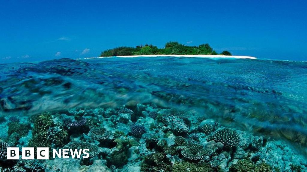 Five Italians die during cave dive in MaldivesItaly says the incident happened at a depth of 50m. Maldivian rescuers have so far found one body.4 hrs agoWorld Five Italians die during cave dive in MaldivesItaly says the incident happened at a depth of 50m. Maldivian rescuers have so far found one body.4 hrs agoWorld