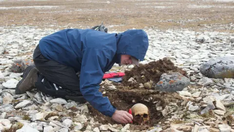 University of Waterloo An image of a man in a cap and blue coat excavating a human skull. A frozen, flat and rocky landscape extends far into the distant horizon behind him