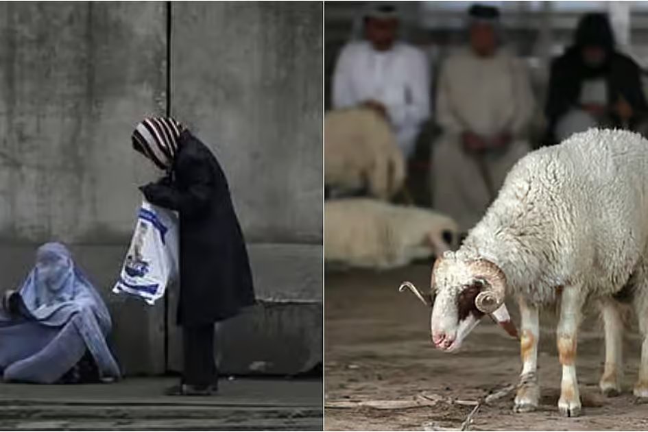 Dubai Police warn of rise in beggars, street butchers during Eid Al Adha Dubai Police warn of rise in beggars, street butchers during Eid Al Adha