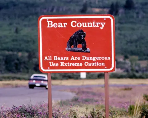Getty Images A road sign warning of dangerous grizzly bears alongside the highway near Glacier National Park, Montana, 2013.