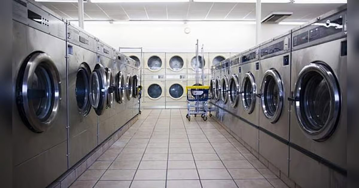 Sharjah rolls out health safety training for laundry, carpet cleaning staff Sharjah rolls out health safety training for laundry, carpet cleaning staff