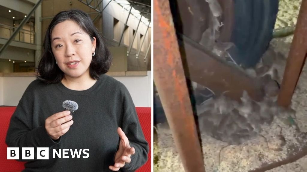 Why are devastating mice plagues happening in Australia?Crops are being ravaged and homes are being invaded by the rodents – and it’s costing farmers hundreds of thousands of dollars.41 mins agoAustralia Why are devastating mice plagues happening in Australia?Crops are being ravaged and homes are being invaded by the rodents - and it’s costing farmers hundreds of thousands of dollars.41 mins agoAustralia