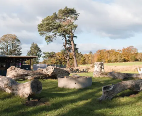 A fire pit with four large tree trunks surrounding it with trees in the background.