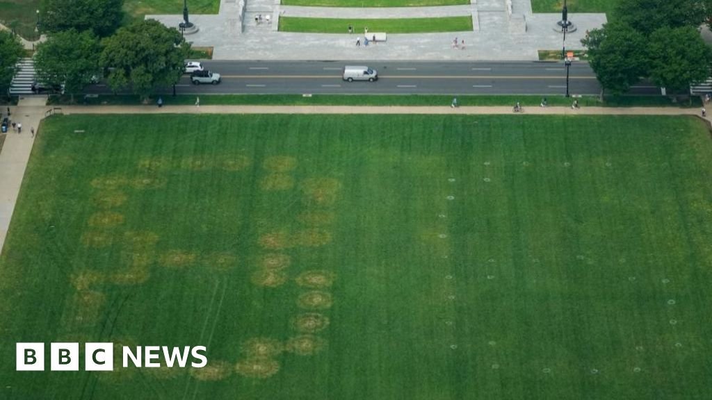 Police investigate '8647' written in grass on US national mall"Eighty-six" is a slang term for "get rid of". Some US officials claim the numbers are meant to encourage violence against Trump, the 47th president.17 mins agoUS & Canada Police investigate '8647' written in grass on US national mall"Eighty-six" is a slang term for "get rid of". Some US officials claim the numbers are meant to encourage violence against Trump, the 47th president.17 mins agoUS & Canada