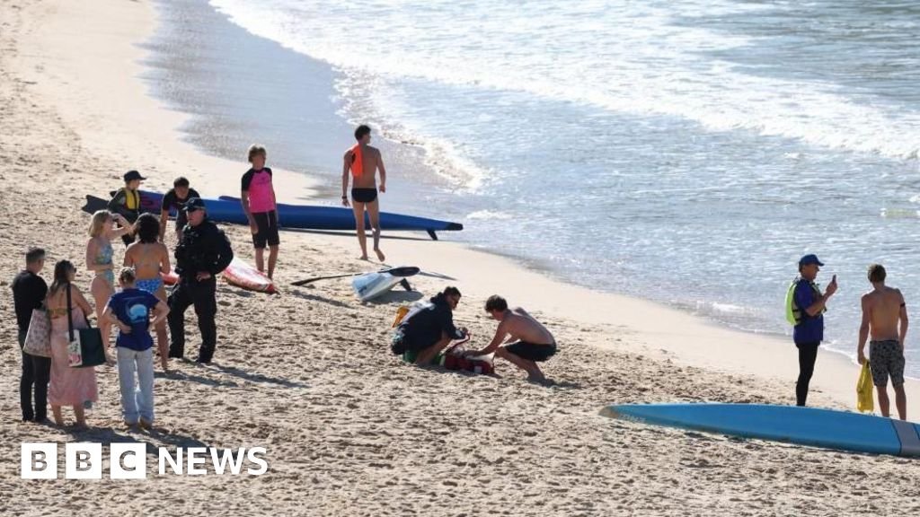 Woman seriously injured in shark attack at Sydney beachThe woman, 35, was pulled from the water by members of the public and then airlifted to hospital, police say.6 mins agoAustralia Woman seriously injured in shark attack at Sydney beachThe woman, 35, was pulled from the water by members of the public and then airlifted to hospital, police say.6 mins agoAustralia