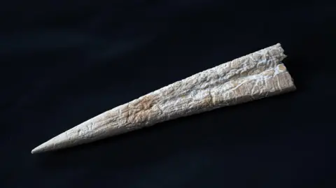 Tony Jolliffe/BBC News A small piece of bone that has been carved to a sharp point at one end. It may have been used to make holes when working leather. The pointed end is on the left and the wider end on the right. It is white and light brown and is set against a black background. There is a slight groove running about half way along its length from the wider end. 