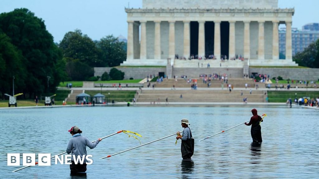 Former Olympian denies vandalising Washington Reflecting Pool after arrestDavey Hearn says he was simply touching the new paint at the site out of curiosity and did not remove or alter it.1 hr agoUS & Canada Former Olympian denies vandalising Washington Reflecting Pool after arrestDavey Hearn says he was simply touching the new paint at the site out of curiosity and did not remove or alter it.1 hr agoUS & Canada