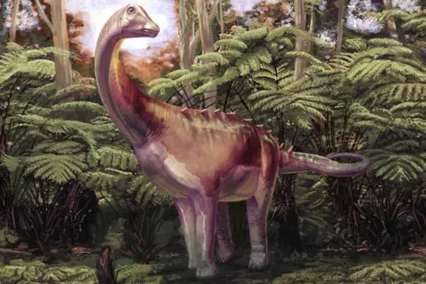 Andrew McAfee/Carnegie Museum of Natural History An artist's impression of a light brown Titanosaur, with its long neck and long tail. It's standing on all four legs amongst some green tree ferns.  There are some spikes running along its lower back and the upper part of its tail. It is turned towards us but its neck is slightly twisted as its small head, with a closed mouth, looks around slightly to its left