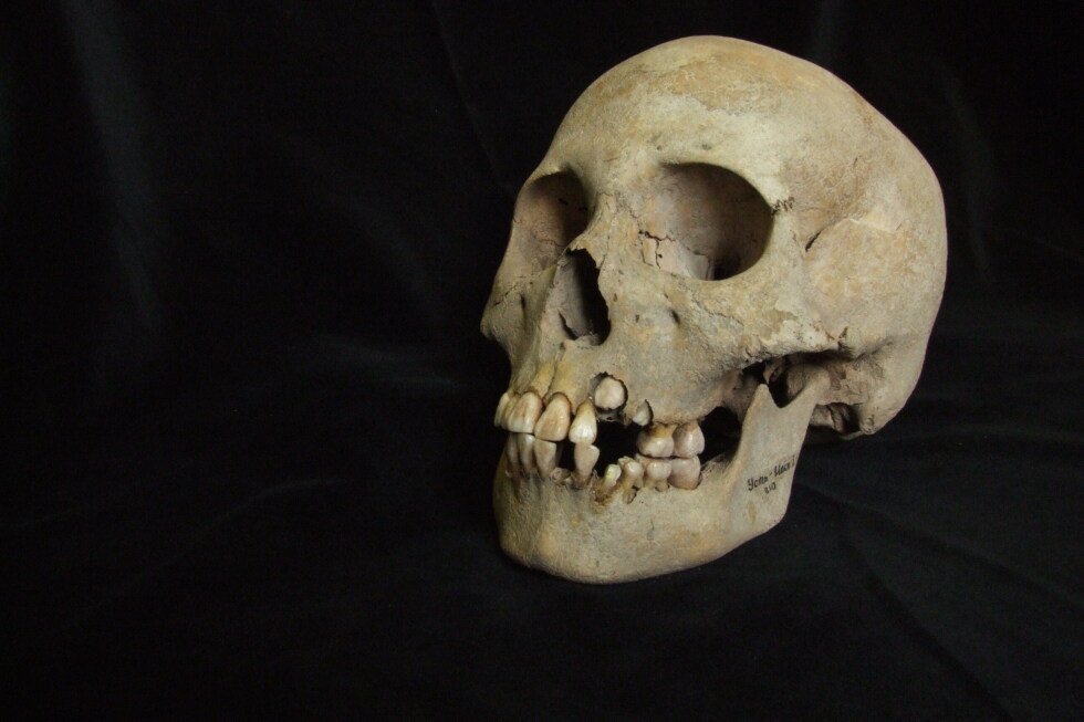 Ancient teeth from Siberia rewrite the plague’s timeline, dating back to over 5,500 years ago Ancient teeth from Siberia rewrite the plague’s timeline, dating back to over 5,500 years ago