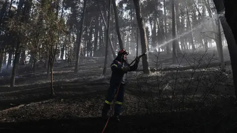 AFP via Getty Images A firefighter in a smoky forest near Liti in northern Greece. Photo: 30 June 2026