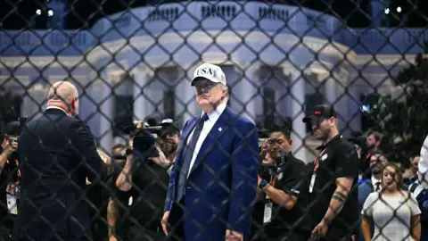 Getty Images US President Donald Trump seen through metal wire fencing. He is wearing a blue suit and a white baseball cap that says "USA". In the background is a crowd of people and the White House