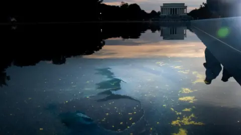 Reuters Chipped paint and algae are visible in the Lincoln Memorial Reflecting Pool at dusk.