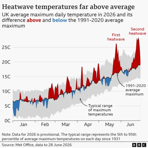 A graph showing UK average maximum daily temperatures in 2026 so far, and how it compares with the long-term average. A black line shows increasing average maximum temperatures between January and June as winter progresses to summer. A wider grey area above and below this line shows the typical range of these maximum temperatures for each date since 1931. Maximum daily temperatures for 2026 are also shown as a thin grey line which goes above and below the average. Where temperatures in 2026 have been above average the area is shaded red; where temperatures have been below average the area is shaded blue. Most of the year has had above-average temperatures, with below-average temperatures less common. Two red spikes in late May and late June are significantly higher than even the highest values in the typical range, roughly 10C above average for the time of year. 