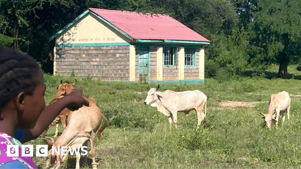 More cows than pupils – what is behind mass school closures in rural Kenya?More than 2,000 primary schools are facing closure as enrolment numbers plummet.17 hrs agoAfrica More cows than pupils - what is behind mass school closures in rural Kenya?More than 2,000 primary schools are facing closure as enrolment numbers plummet.17 hrs agoAfrica