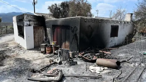 EPA Burnt land next to Anita's restaurant after Los Gallados fire in Beda village, Almeria, southern Spain