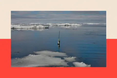 Argo An Argo Float in the Antarctic
