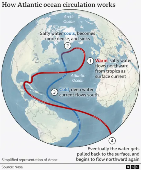The map shows the world's major ocean currents, with warm surface currents in red and colder, deeper currents in blue. The Atlantic Meridional Overturning Circulation (AMOC) forms part of this global system.