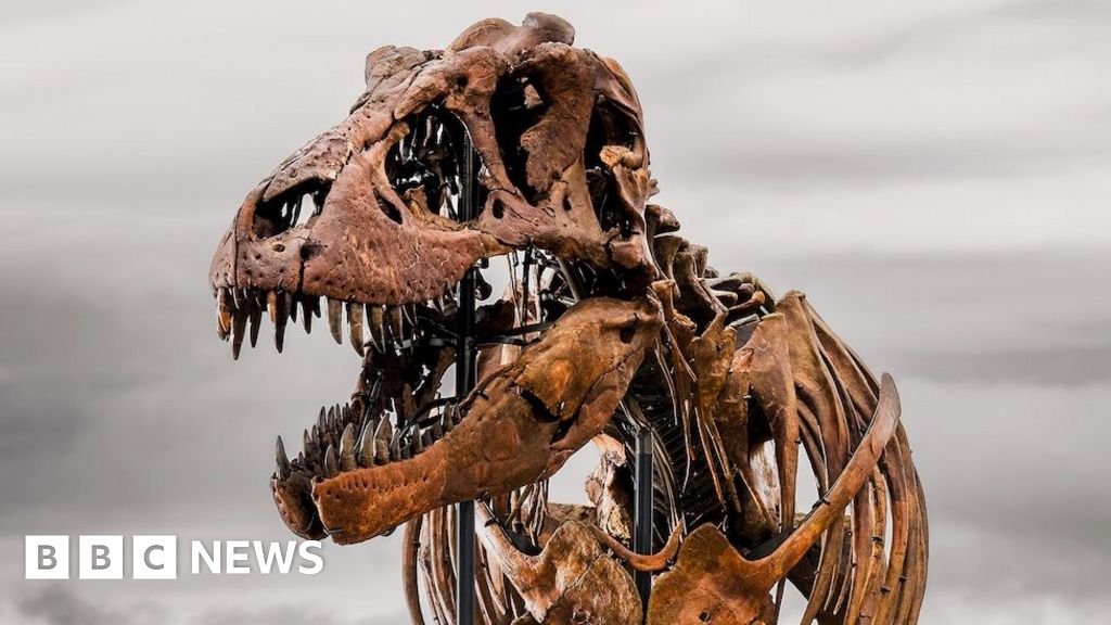 Weekly quiz: What name did scientists give this $50m dinosaur?How much attention did you pay to what happened in the world over the past seven days?10 hrs agoUS & Canada Weekly quiz: What name did scientists give this $50m dinosaur?How much attention did you pay to what happened in the world over the past seven days?10 hrs agoUS & Canada