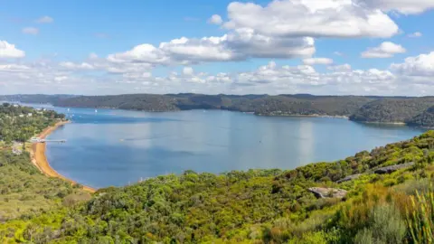 Getty Lush bushland surrounds an inlet with small boats in the distance