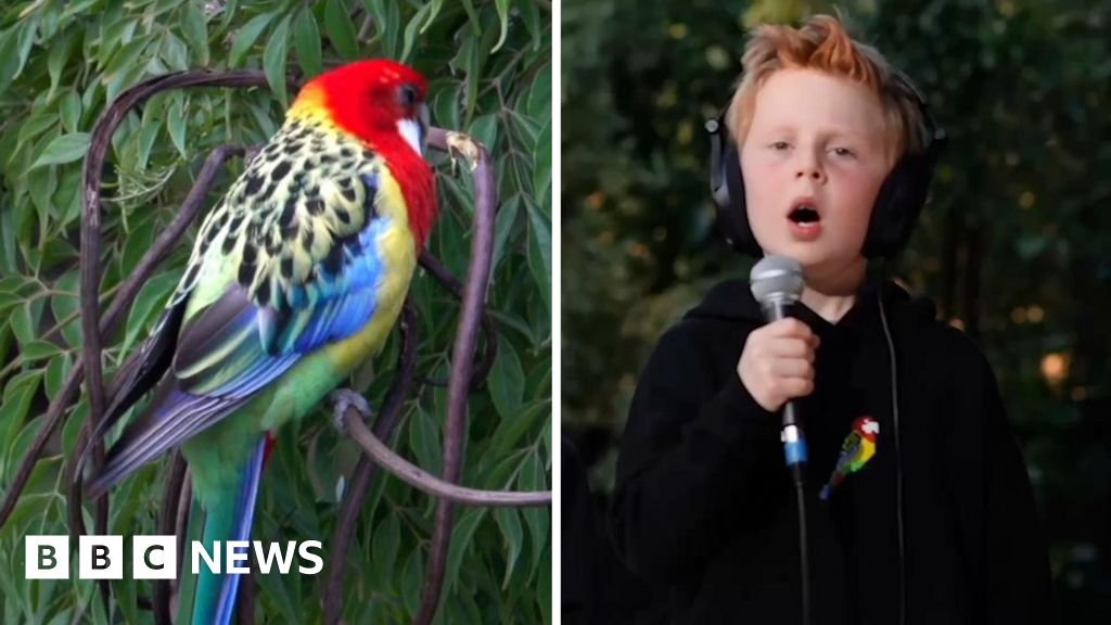 Eastern Rosellas! – Meet the seven-year-old behind viral songSeven-year-old Miles Phillips' hit song has now had 1.5m views and was even played on the radio.
5 hrs agoAustralia Eastern Rosellas! - Meet the seven-year-old behind viral songSeven-year-old Miles Phillips' hit song has now had 1.5m views and was even played on the radio.
5 hrs agoAustralia