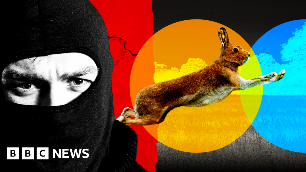 Gangs, violence and dumped dead animals: The hidden world of illegal hare huntsFarmers describe attacks and police receive nearly 9,000 reports of banned hare coursing.11 hrs agoUK Gangs, violence and dumped dead animals: The hidden world of illegal hare huntsFarmers describe attacks and police receive nearly 9,000 reports of banned hare coursing.11 hrs agoUK