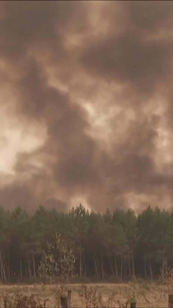Watch: Wildfires spread near farmland near BordeauxWildfires have been burning in the region for several days with hundreds of thousands being evacuated1 hr ago Watch: Wildfires spread near farmland near BordeauxWildfires have been burning in the region for several days with hundreds of thousands being evacuated1 hr ago