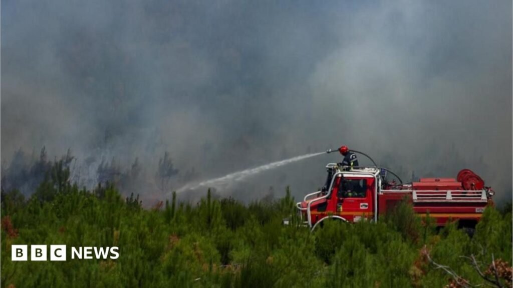 LIVEWildfire fight is 'David against Goliath' says French fire service, as new heatwave hitsA major wildfire is burning around nine miles from the outskirts of Bordeaux - although officials say the city itself is not yet under threat.