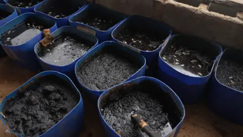 A series of blue plastic buckets lined up. Inside each bucket is a grey sludge.