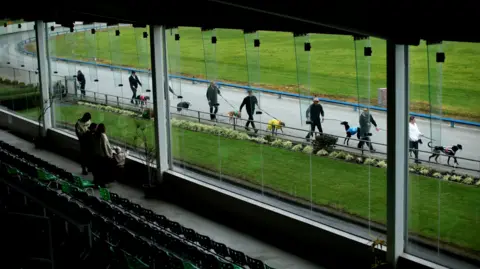 Phil Walter/Getty Images Owners and trainers with their greyhounds at the Manukau Stadium during the Stars of Manukau 2000 - 2010 race meeting on June 21, 2026 in Auckland, New Zealand. Commercial greyhound racing is ending in New Zealand and will be officially banned from August 1, 2026 due to animal welfare concerns. 