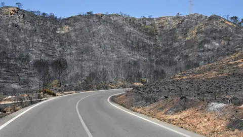 EPA View of the burnt land after the Los Gallardos fire in Beda village, Almeria, southern Spain.