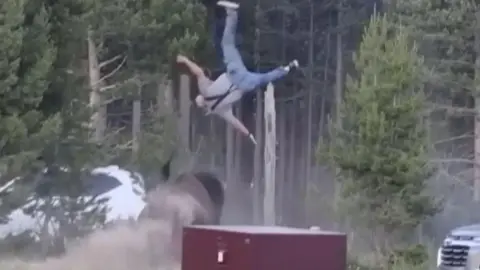 Mike MacLeod/Newsflare An elderly man hit by a bull bison in Yellowstone National Park is photographed several metres in the air 