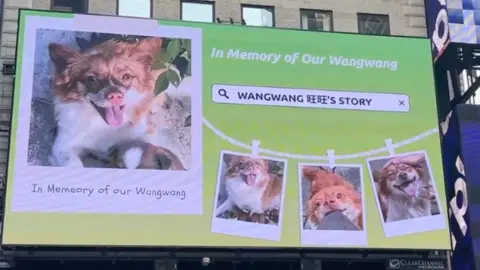 Supplied A billboard in New York City's Time Square displaying photographs of a dog. "In memory of our Wangwang," it read.
