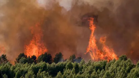Getty Images At the bottom of the image is a line of green, forest trees. Above them a large, orange fire rages, with the entire sky distorted by smoke.