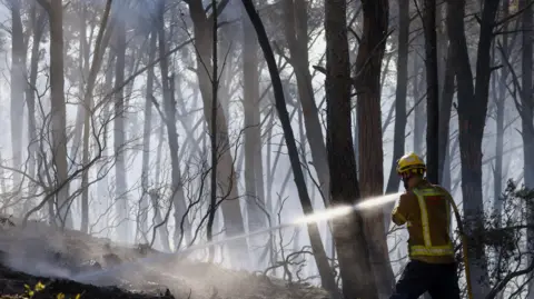 EPA A firefighter sprays water on fire in a forest in Spain