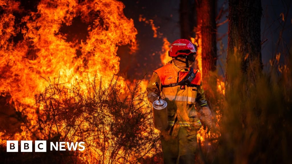 Hundreds arrested over French wildfires, but who is to blame?The government is trying to attribute blame for the unprecedented fires which tore through the country last month.2 hrs agoEurope Hundreds arrested over French wildfires, but who is to blame?The government is trying to attribute blame for the unprecedented fires which tore through the country last month.2 hrs agoEurope