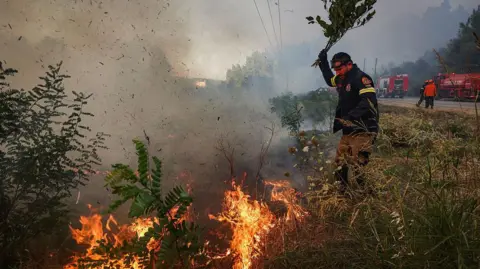 AFP via Getty Images A firefighter works to extinguish a wildfire near Siviri, northern Greece. Photo: 13 2026