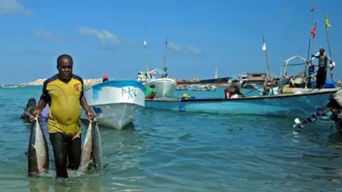 AFP via Getty Images A man in a yellow top in the left of the picture wades through water holding four large fish in his hands. Fishing boats and the ocean can be seen behind him.