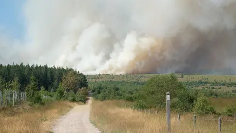 Getty Images A plume of smoke rises into the sky during a wildfire in the Hautes Fagnes (High Fens) nature reserve in Belgium