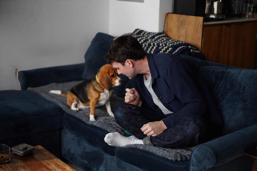 Gene-edited beagles may offer a future option for people with dog allergies Gene-edited beagles may offer a future option for people with dog allergies