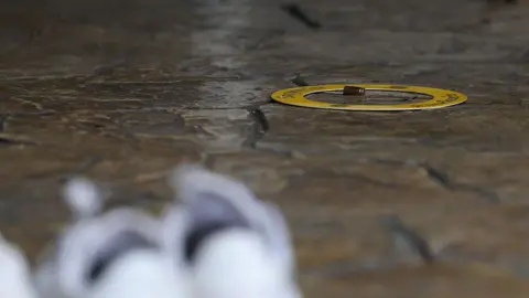 Anadolu via Getty Images A bullet on the ground, surrounded by a yellow circle. A pair of white shoes are near it on the ground.